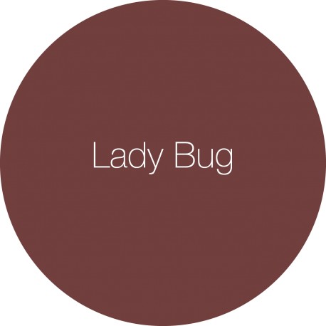 Lady Bug - Earthborn Claypaint