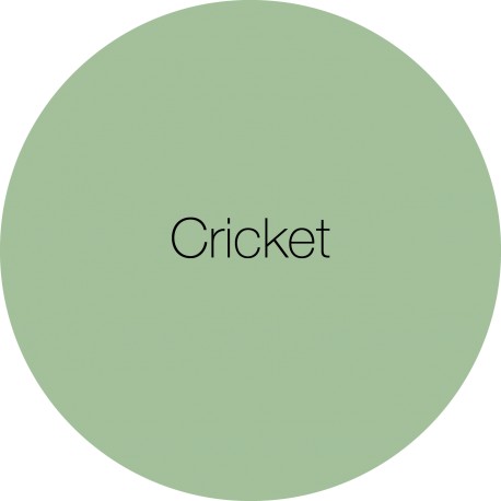 Cricket - Earthborn Clay Paint 