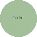 Cricket - Earthborn Claypaint